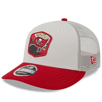 Men's New Era  Stone/Red Tampa Bay Buccaneers 2023 Salute To Service Low Profile 59FIFTY Fitted Hat