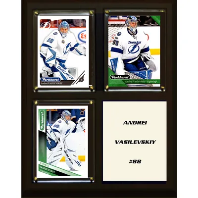 Andrei Vasilevskiy Tampa Bay Lightning Framed 15'' x 17'' Player