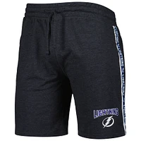 Men's Concepts Sport  Charcoal Tampa Bay Lightning Team Stripe Shorts