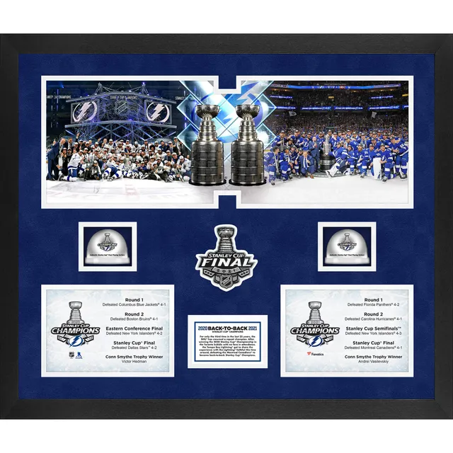 Lids Tampa Bay Lightning Fanatics Authentic 2021 Stanley Cup Champions  Framed 10 x 30 Champions Panoramic with a Piece of Game-Used Net from the  2021 Stanley Cup Final - Limited Edition of