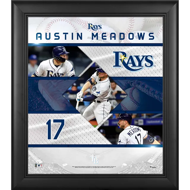 Austin Meadows Tampa Bay Rays Fanatics Authentic Autographed Baseball and  2020 American League Champions Sublimated Display Case Baseball