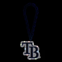 Les Rays de Tampa Bay illuminent une grande chaîne de fans avec leur logo