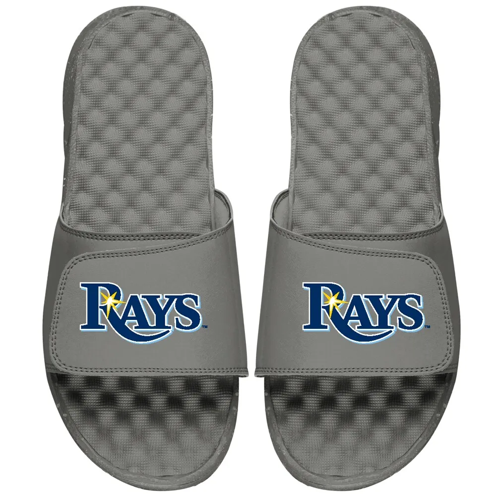 Tampa Bay Rays Primary Logo