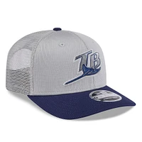 Men's New Era /Purple Tampa Bay Rays 2025 Batting Practice 9SEVENTY Stretch-Snap Trucker Hat