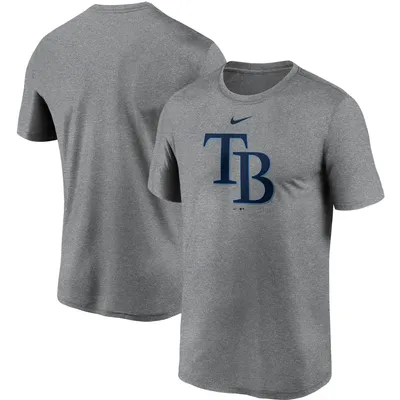 Lids Tampa Bay Rays Pro Standard Team Logo T-Shirt - Navy