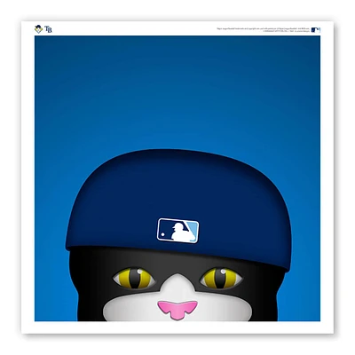 Tampa Bay Rays 12" x 12" DJ Kitty Poster Print