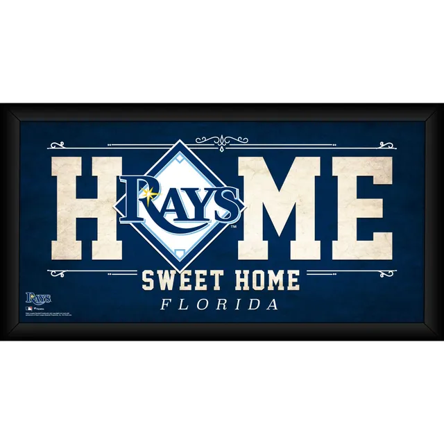 Lids Tampa Bay Rays Fanatics Authentic Logo Framed 30-Ball Display