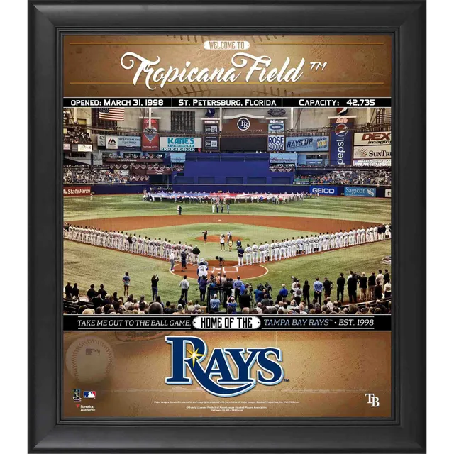 Lids Randy Arozarena Tampa Bay Rays Fanatics Authentic Framed 15'' x 17''  Player Panel Collage