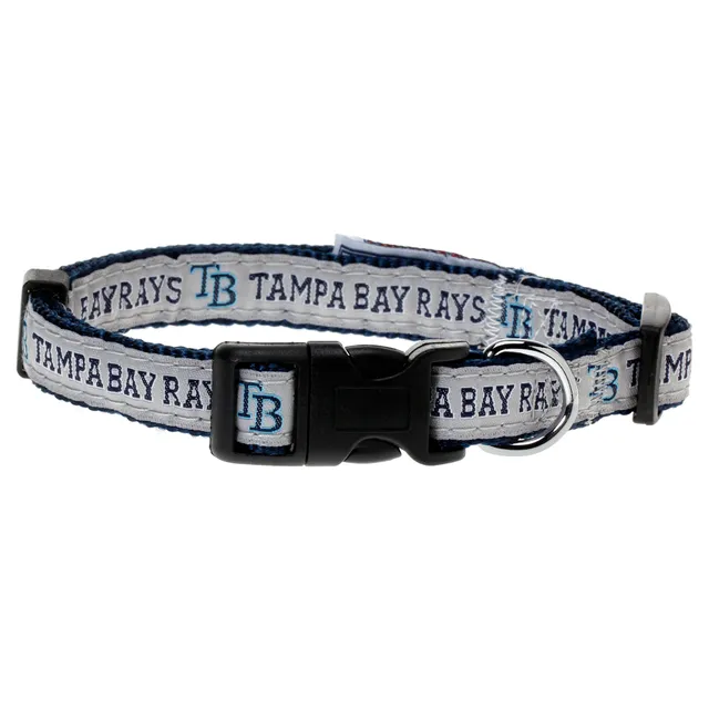 Lids Tampa Bay Rays 6 x 12 Team Dog Bone Sign