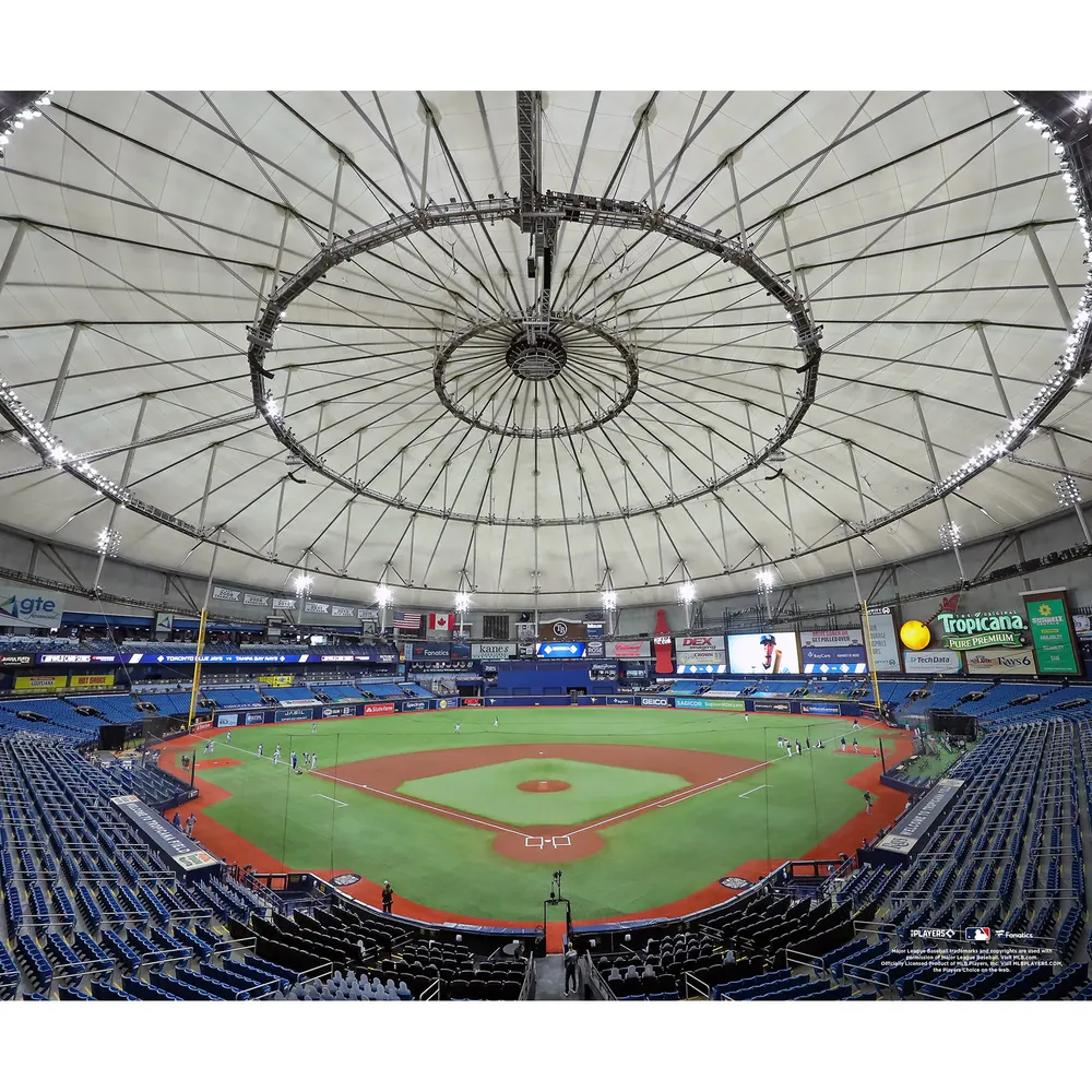 Tampa Bay Rays Fanatics Authentic Unsigned Behind Home Plate General View  Photograph