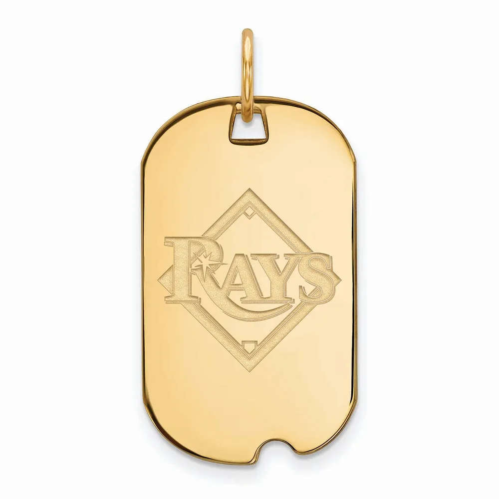 Tampa Bay Rays Pendant – The GLD Shop