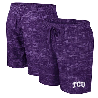 Men's Colosseum Purple TCU Horned Frogs Ozark Swim Shorts