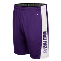 Colosseum Purple TCU Horned Frogs Panel Shorts pour hommes