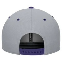 Men's Nike White/Gray TCU Horned Frogs Pro Performance Snapback Hat