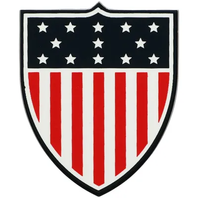 Team USA Shield Magnet Pin