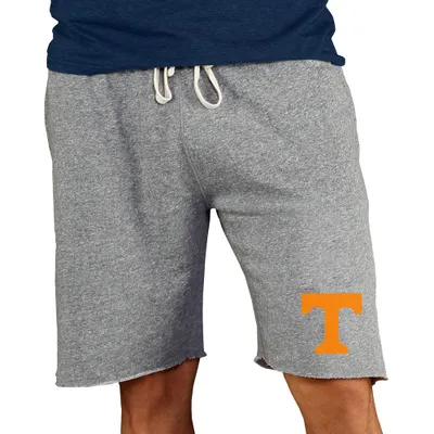 Tennessee Volunteers Concepts Sport Mainstream Terry Shorts - Gray