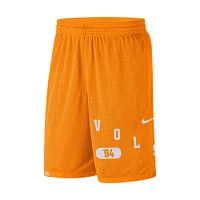 Men's Nike Tennessee Orange Volunteers Wordmark Performance Shorts