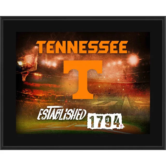 Lids Alvin Kamara Tennessee Volunteers Fanatics Authentic 10.5 x