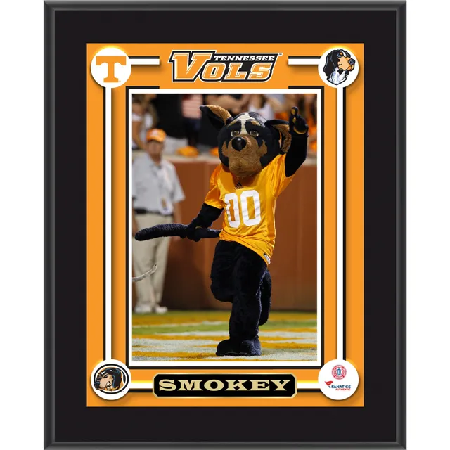 Lids Alvin Kamara Tennessee Volunteers Fanatics Authentic Framed