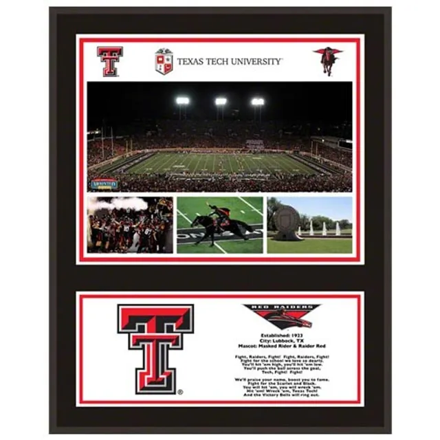 Fanatics Authentic Texas Rangers 10.5 x 13 Sublimated Horizontal Team Logo Plaque