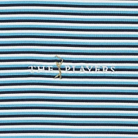Men's Under Armour  Blue THE PLAYERS Drive Groove Stripe Polo