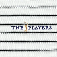 Men's Nike  White 2025 THE PLAYERS Victory Stripe Performance Polo