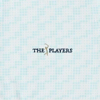 Women's Under Armour  Aqua THE PLAYERS Drive Clubhouse Grid Sleeveless Polo