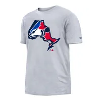 T-shirt avec contour de la province des Blue Jays Toronto 5th & Ocean by New Era gris pour homme