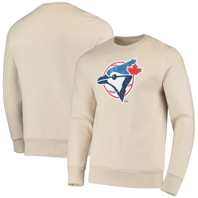 Lids Toronto Blue Jays Antigua Victory Pullover Hoodie