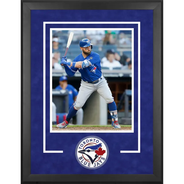 Fanatics Authentic Toronto Blue Jays Framed 10 x 20 Fan Cave Collage