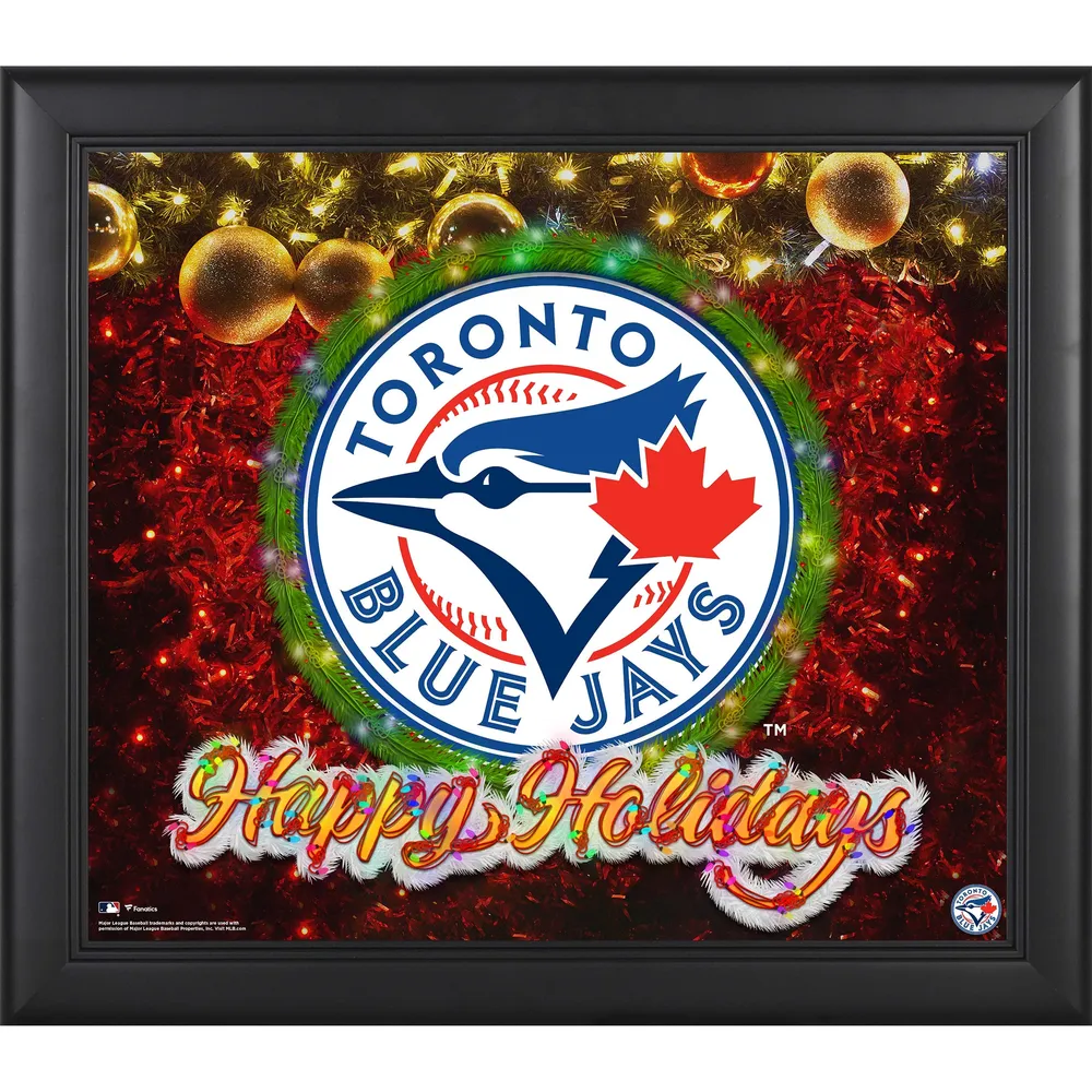 Toronto Blue Jays Danny Jansen Framed 15 x 17 Stitched Stars