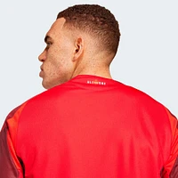 Men's adidas Red Toronto FC 2025 Club Kit Authentic Jersey