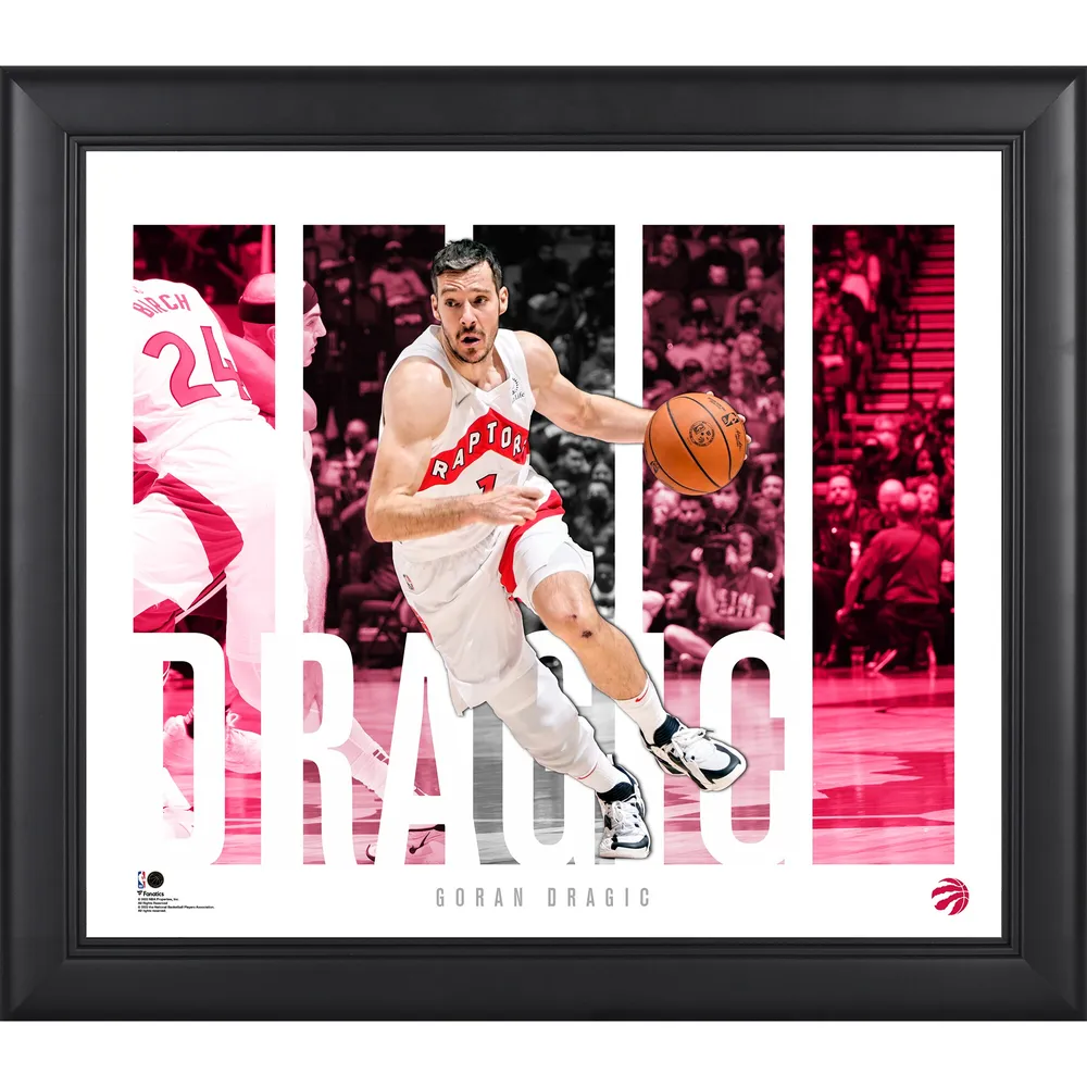 Tracy McGrady Toronto Raptors Fanatics Authentic Framed 15 x 17 Hardwood  Classics Player Collage