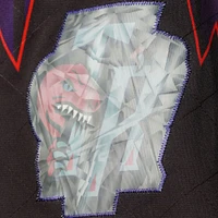 Men's Mitchell & Ness Purple Toronto Raptors 1998 Hardwood Classics 75th Anniversary Swingman Shorts