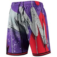 Men's Mitchell & Ness Purple Toronto Raptors Hardwood Classics 1998 Hyper Hoops Swingman Shorts