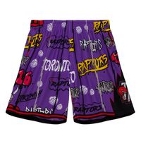 Men's Mitchell & Ness Purple Toronto Raptors Hardwood Classics Slap Sticker Swingman - Shorts