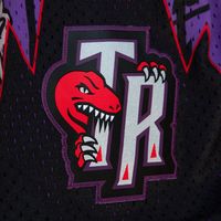 Men's Mitchell & Ness Purple Toronto Raptors Hardwood Classics Slap Sticker Swingman - Shorts