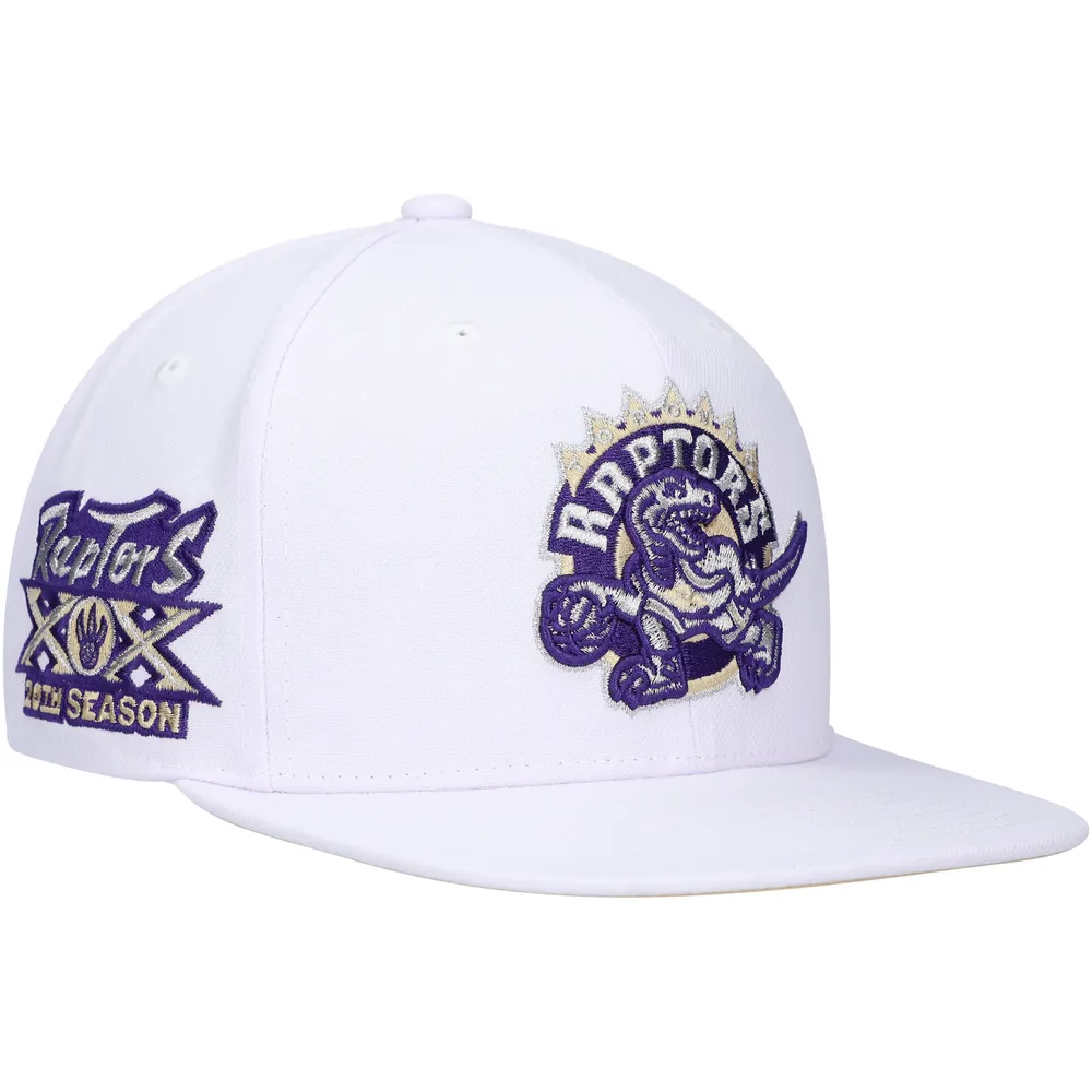 Mitchell & Ness Toronto Raptors Large Logo Fitted Hat Cap - Gray