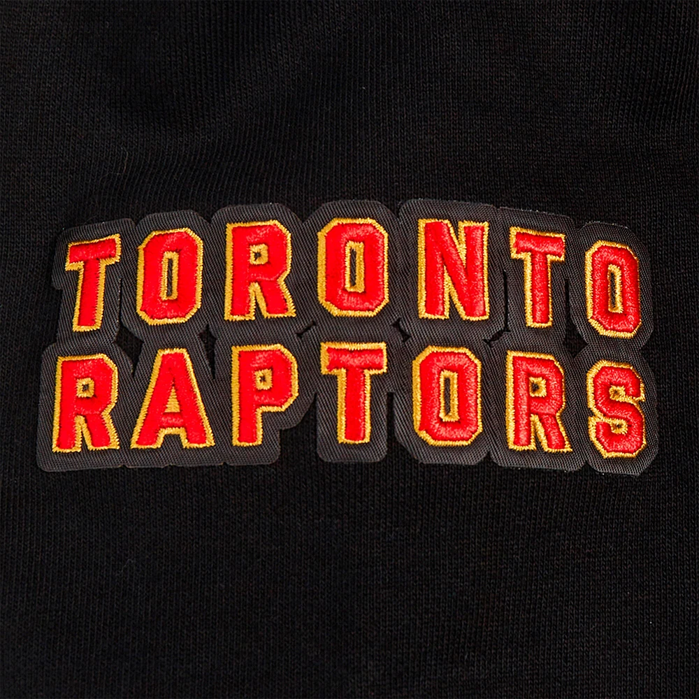 Sweat à capuche noir Pro Standard pour homme Toronto Raptors Area Code