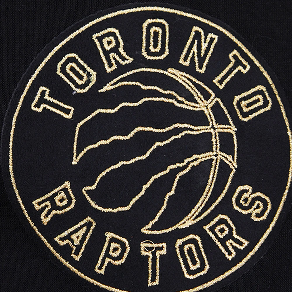 Sweat à capuche entièrement zippé Pro Standard pour hommes, noir, Toronto Raptors