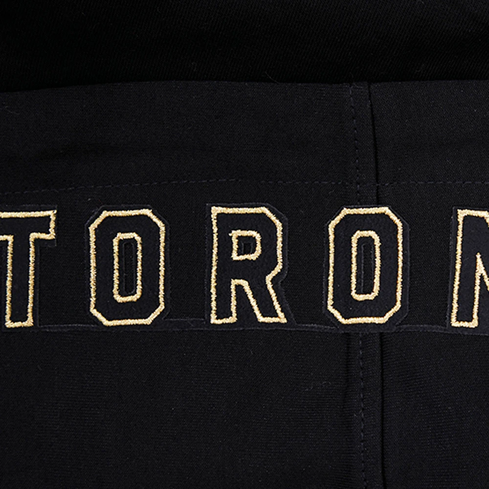 Sweat à capuche entièrement zippé Pro Standard pour hommes, noir, Toronto Raptors