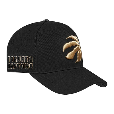 Casquette ajustable noire Pro Standard Toronto Raptors avec logo métallique pour homme