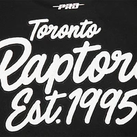 Men's Pro Standard Black Toronto Raptors Paint the City Pullover Sweatshirt