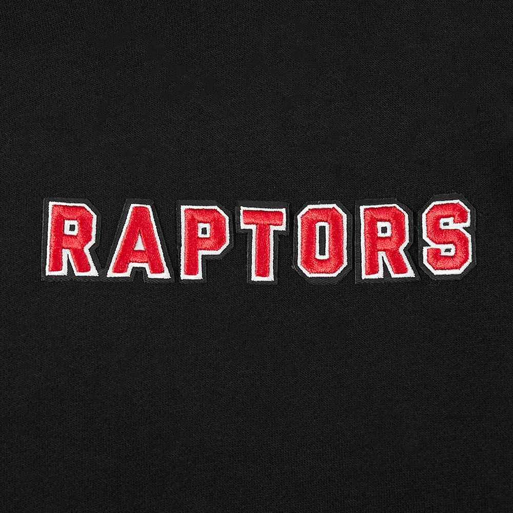 Sweat à capuche épaules tombantes Pro Standard pour homme, noir, Toronto Raptors Wingspan