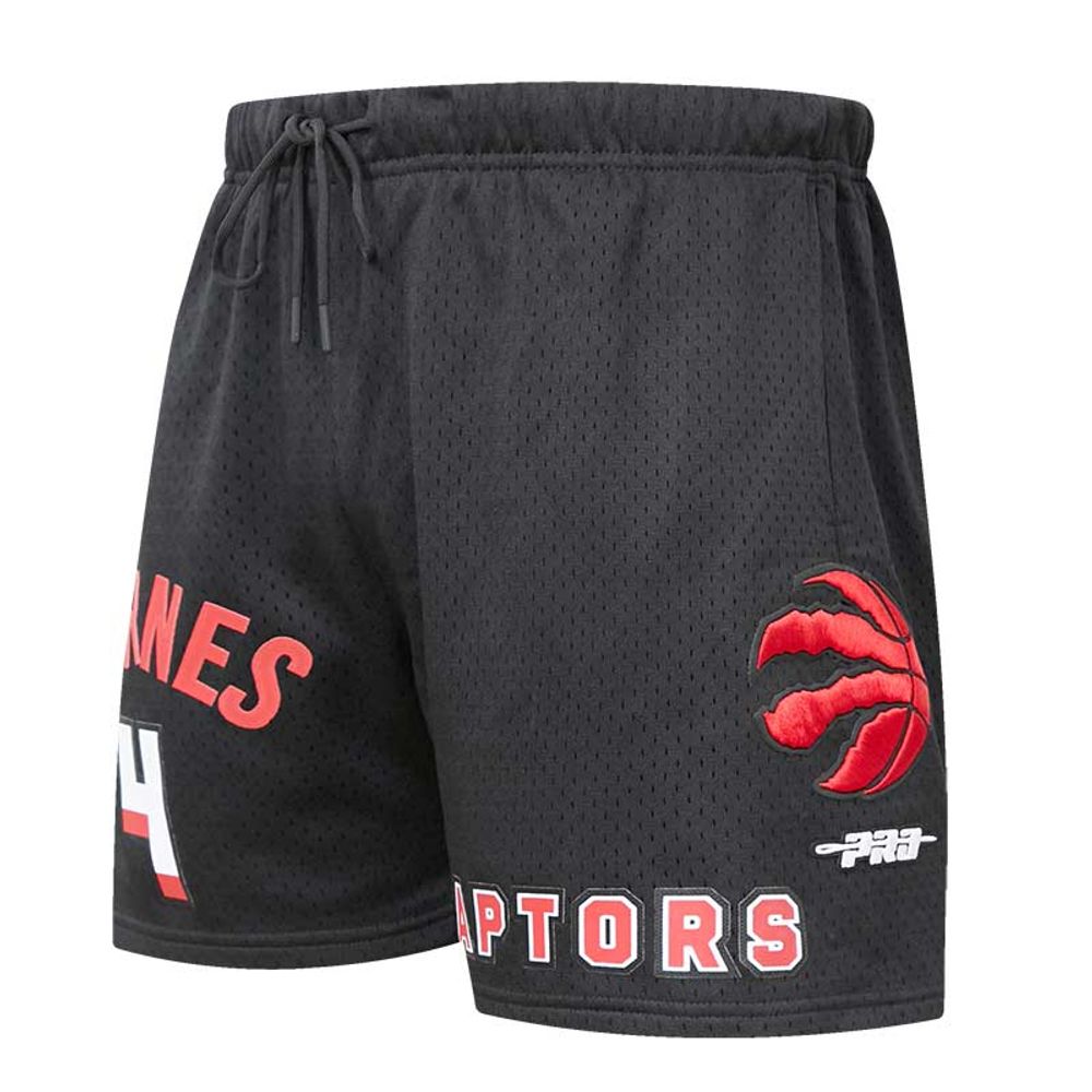 Men's Pro Standard Scottie Barnes Black Toronto Raptors Player Name & Number - Mesh Shorts