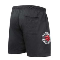 Men's Pro Standard Scottie Barnes Black Toronto Raptors Player Name & Number - Mesh Shorts