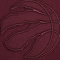 Men's Pro Standard Wine Red Toronto Raptors Logo Shorts
