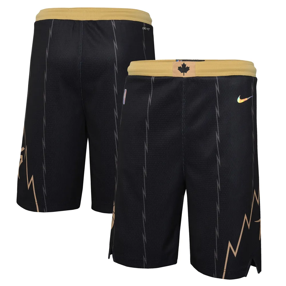 Lids Raptors Nike Youth 2021/22 City Swingman Shorts - Black Brazos Mall