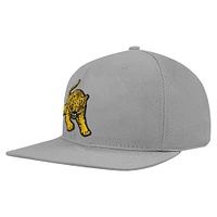 Men's Pro Standard Gray Tuskegee Golden Tigers Mascot Logo Snapback Hat