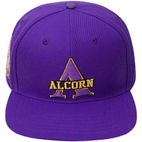 Men's Pro Standard Purple Tuskegee Golden Tigers Primary Logo Snapback Hat